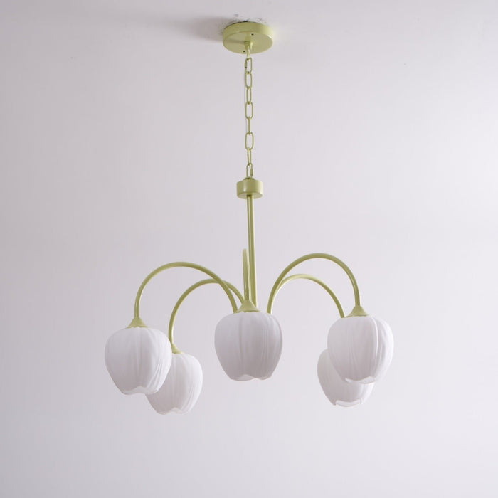 Tulip Matcha Chandelier Vakkerlight