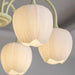 Tulip Matcha Chandelier Vakkerlight