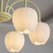 Tulip Matcha Chandelier Vakkerlight