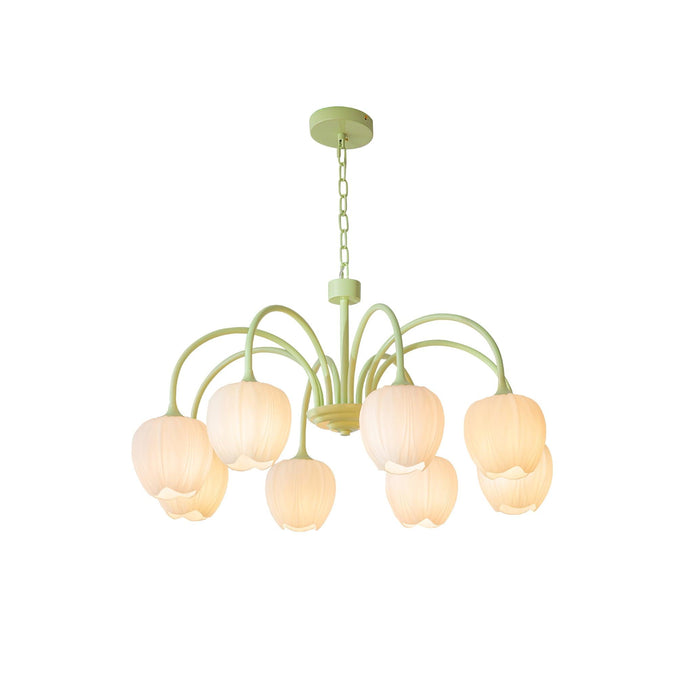 Tulip Matcha Chandelier Vakkerlight