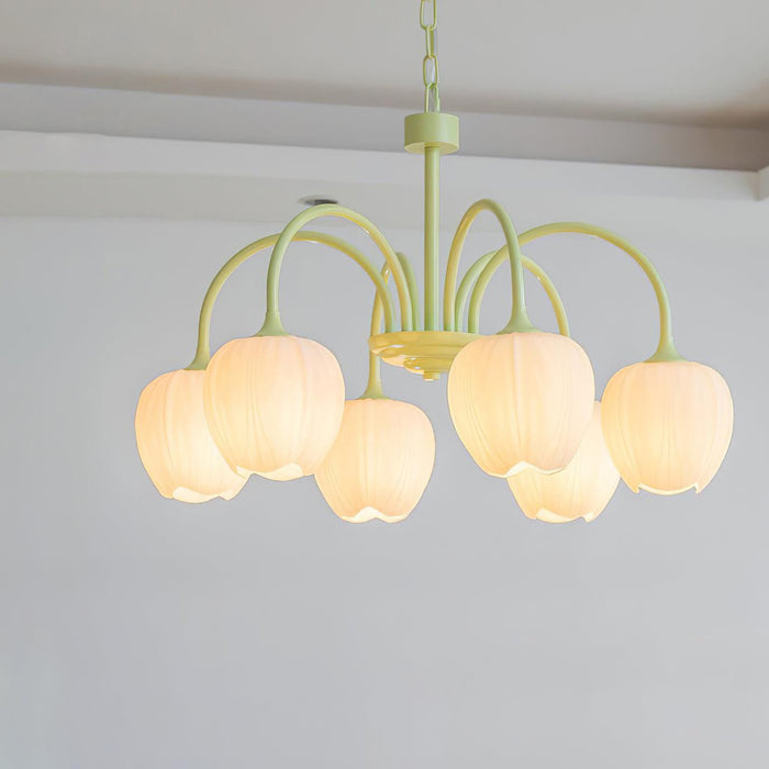 Tulip Matcha Chandelier Vakkerlight