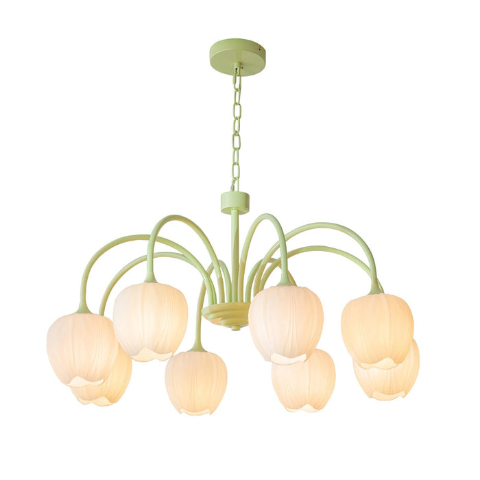 Tulip Matcha Chandelier Vakkerlight