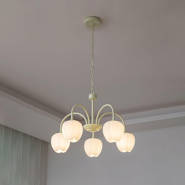 Tulip Matcha Chandelier Vakkerlight