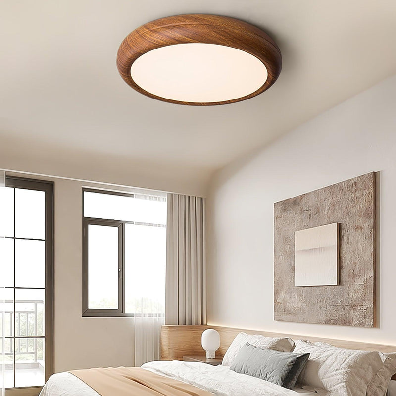 Ceiling Light