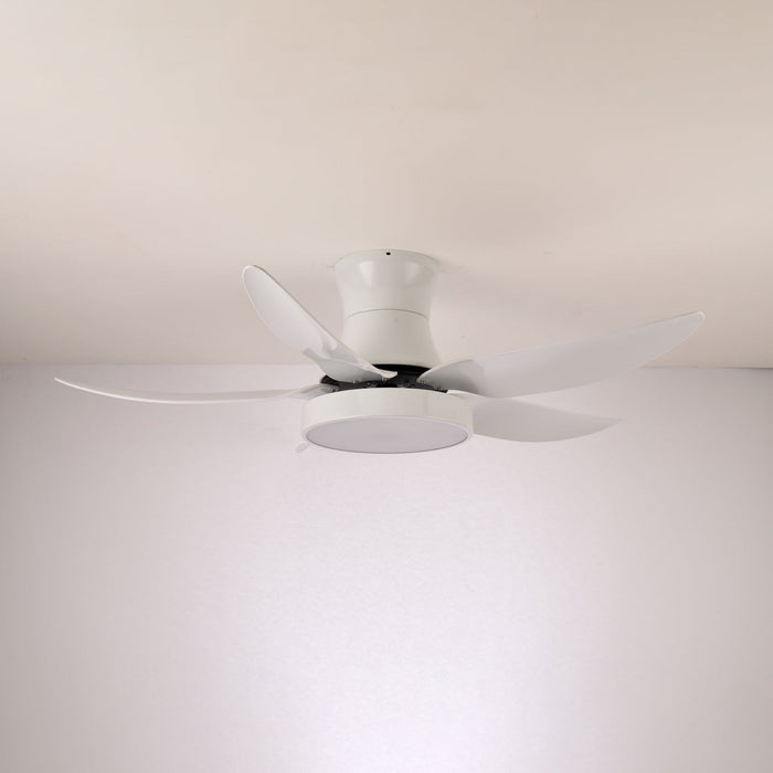 Zephyr Noir Ceiling Fan Light Vakkerlight