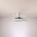 Zephyr Noir Ceiling Fan Light Vakkerlight