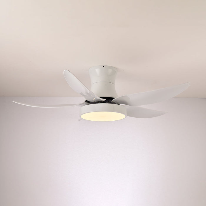 Zephyr Noir Ceiling Fan Light Vakkerlight