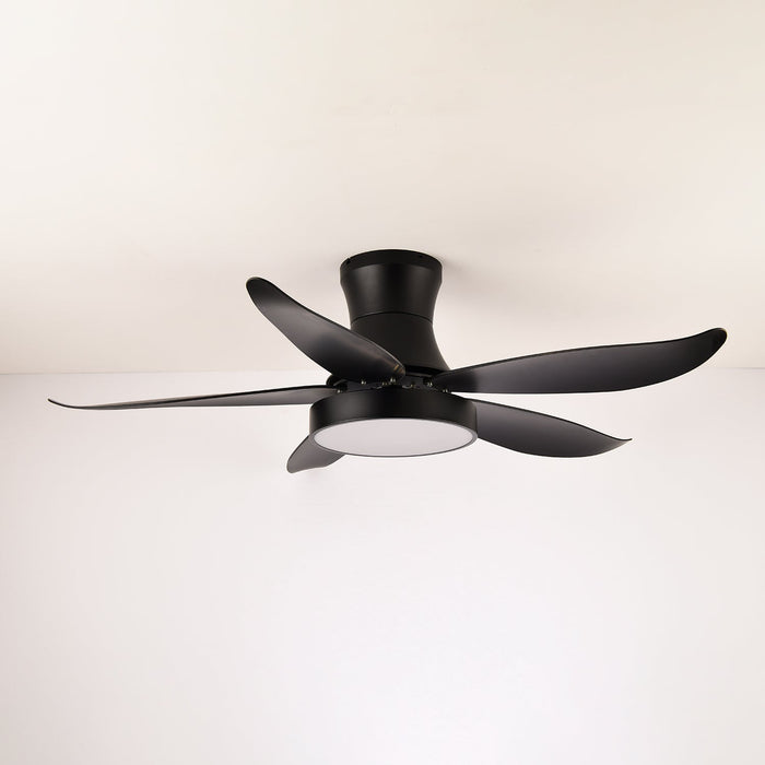 Zephyr Noir Ceiling Fan Light Vakkerlight