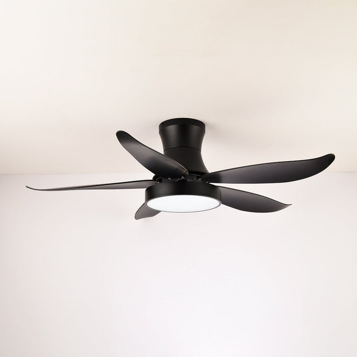 Zephyr Noir Ceiling Fan Light Vakkerlight