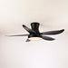 Zephyr Noir Ceiling Fan Light Vakkerlight