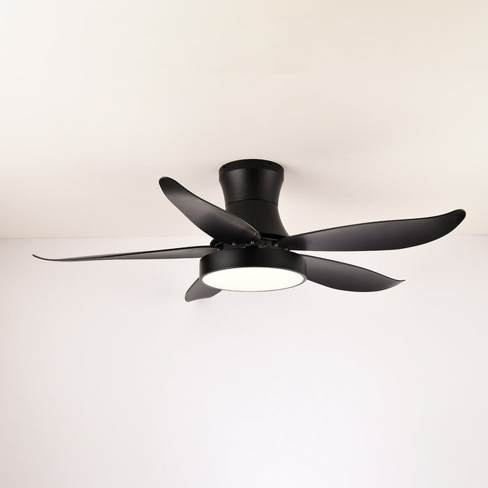 Zephyr Noir Ceiling Fan Light Vakkerlight