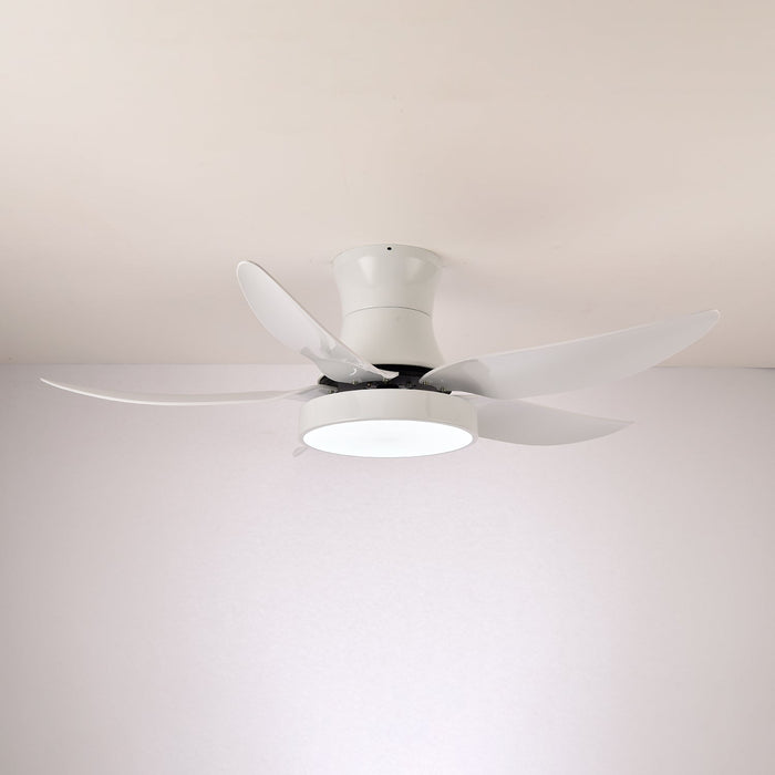 Zephyr Noir Ceiling Fan Light Vakkerlight