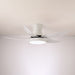 Zephyr Noir Ceiling Fan Light Vakkerlight