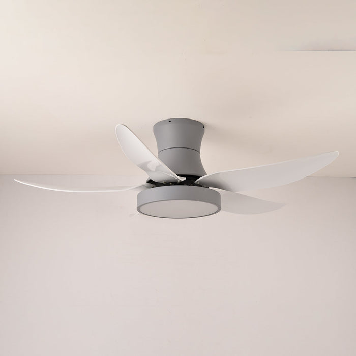 Zephyr Noir Ceiling Fan Light Vakkerlight