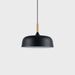 Acorn Pendant Light - Simprolos