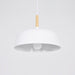 Acorn Pendant Light - Simprolos