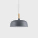 Acorn Pendant Light - Simprolos