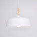 Acorn Pendant Light - Simprolos