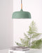 Acorn Pendant Light - Simprolos