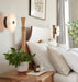 Ankeny Alabaster Ceiling Lamp - Simprolos