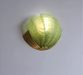 Art Deco Scallop Wall Light - Simprolos