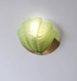 Art Deco Scallop Wall Light - Simprolos