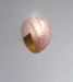 Art Deco Scallop Wall Light - Simprolos