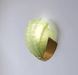 Art Deco Scallop Wall Light - Simprolos