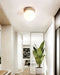 Asteroid Ceiling Lamp - Simprolos
