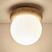 Asteroid Ceiling Lamp - Simprolos