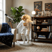 Astro Glow Floor Lamp - Simprolos