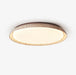 Aureum Edge Ceiling Light - Simprolos