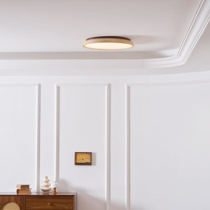 Aureum Edge Ceiling Light - Simprolos