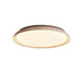 Aureum Edge Ceiling Light - Simprolos