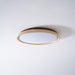 Aureum Edge Ceiling Light - Simprolos