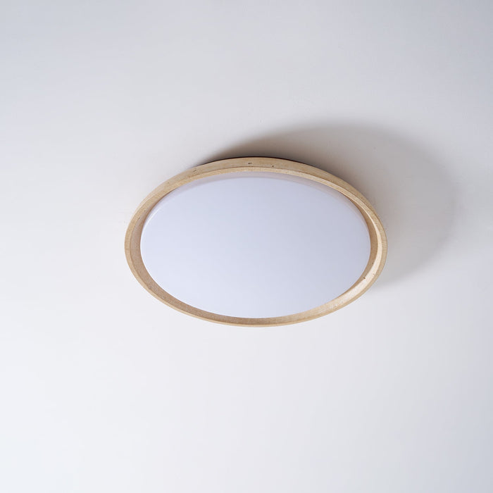 Aureum Edge Ceiling Light - Simprolos