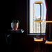 Bamboo Glass Floor Lamp - Simprolos