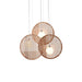 Bee Plate Chandelier - Simprolos