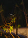 Bellflower Outdoor Floor Lamp - Simprolos