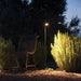 Bellflower Outdoor Floor Lamp - Simprolos