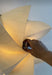 Bloom Petals Wall Lamp - Simprolos