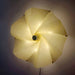 Bloom Petals Wall Lamp - Simprolos