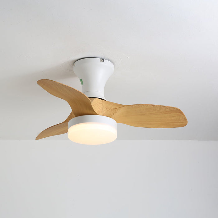 Brisa Ceiling Fan Light - Simprolos