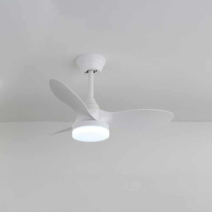 Callum Ceiling Fan Light - Simprolos