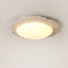 Crater Halo Ceiling Light - Simprolos