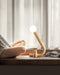 Curled Table Lamp - Simprolos