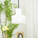 Cyls Alabaster Pendant Lamp - Simprolos