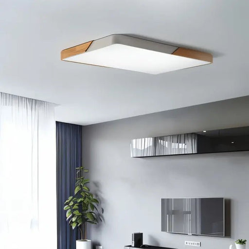Delphi Ceiling Light - Simprolos
