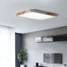 Delphi Ceiling Light - Simprolos