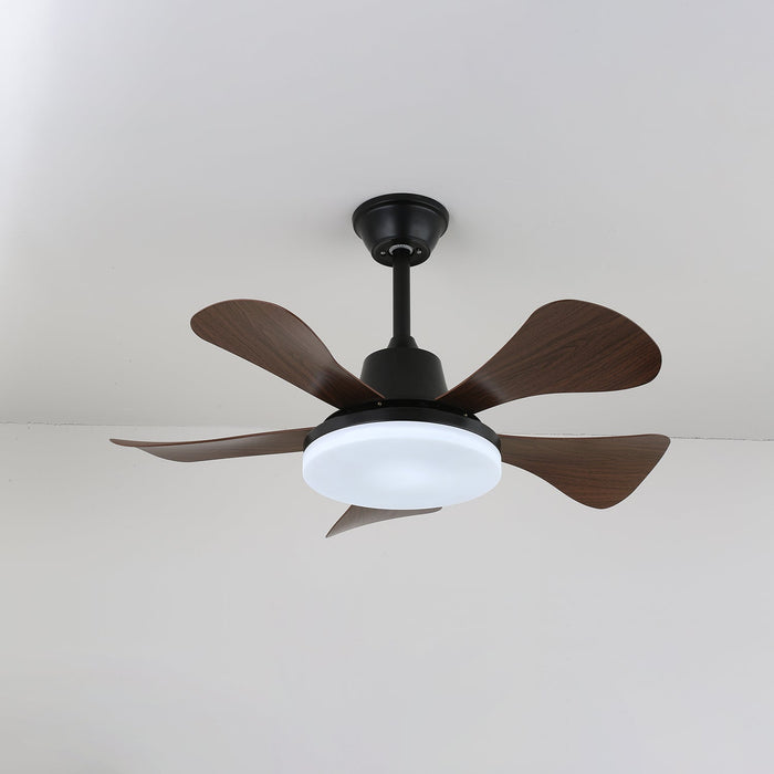 Eliza Ceiling Fan Light - Simprolos